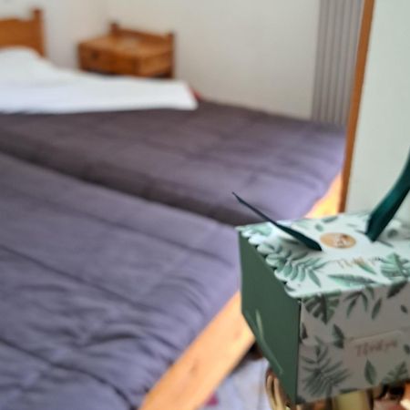 Apollon Inn Arachova Cameră foto